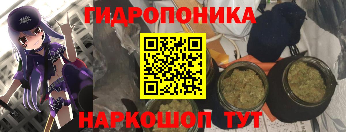 Звенигород  Бошки марихуана MAZAR  Вход с VPN  МАРИХУАНА ГИДРОПОН  Шишки марихуана OG Kush  Бошки Шишки OG Kush 